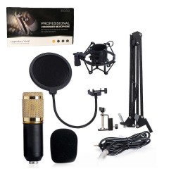 Professional Condenser Microphone - Legendary Vocal