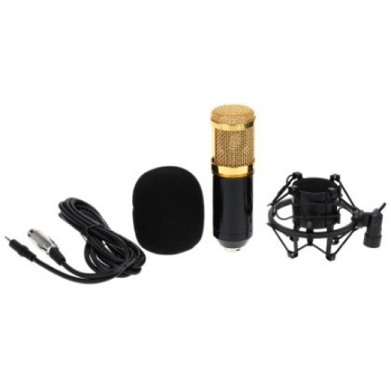 Professional Condenser Microphone - Legendary Vocal Professional Condenser Microphone - Legendary Vocal