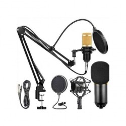 Professional Condenser Microphone - Legendary Vocal